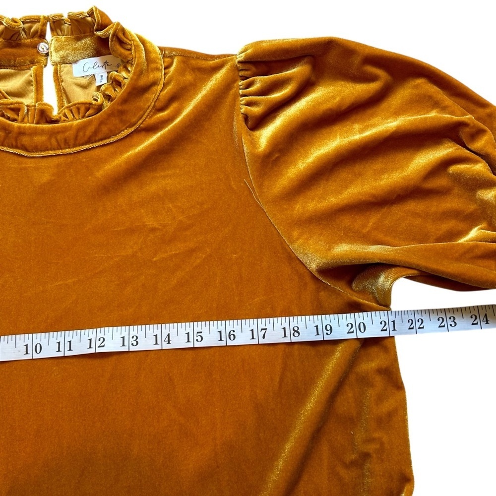 Calista | Rust Orange Velvet Dress - Picture 5 of 8